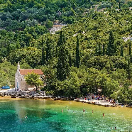 Cozy In With Kitchen Apartamento