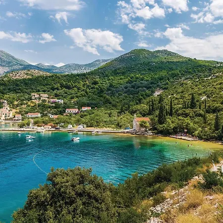 Cozy In With Kitchen Apartamento