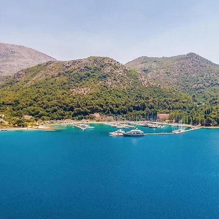 Apartman Cozy In With Kitchen Slano