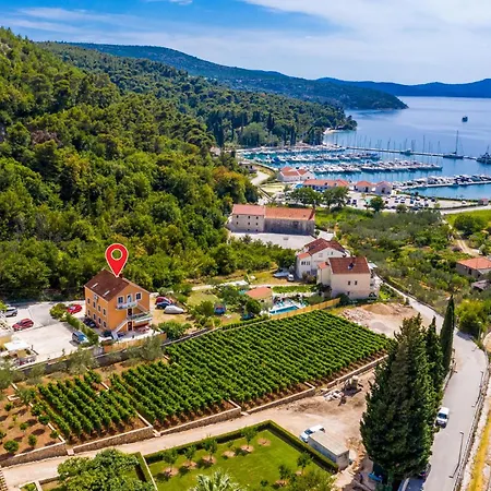 Cozy In With Kitchen Apartman Slano